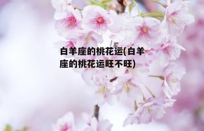 白羊座的桃花运(白羊座的桃花运旺不旺)