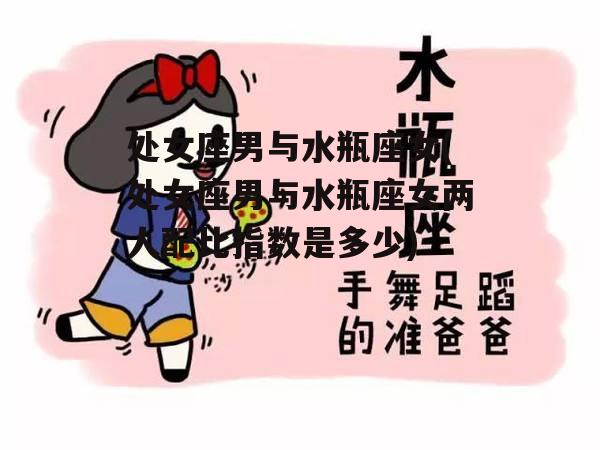 处女座男与水瓶座女(处女座男与水瓶座女两人配比指数是多少)