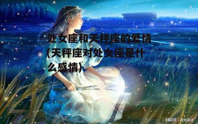 处女座和天秤座的爱情(天秤座对处女座是什么感情)