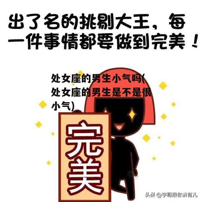 处女座的男生小气吗(处女座的男生是不是很小气)