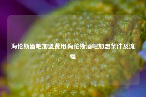 海伦斯酒吧加盟费用,海伦斯酒吧加盟条件及流程