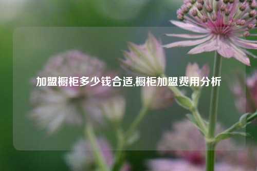 加盟橱柜多少钱合适,橱柜加盟费用分析