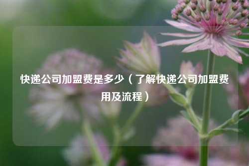 快递公司加盟费是多少（了解快递公司加盟费用及流程）