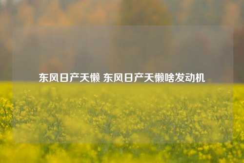 东风日产天懒 东风日产天懒啥发动机