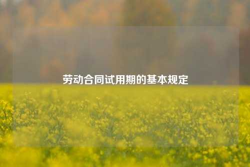 劳动合同试用期的基本规定