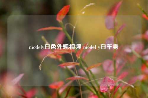 modely白色外观视频 model y白车身