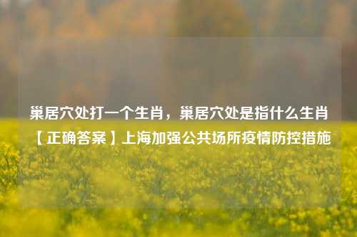 巢居穴处打一个生肖，巢居穴处是指什么生肖【正确答案】上海加强公共场所疫情防控措施