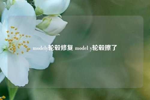 modely轮毂修复 model y轮毂擦了