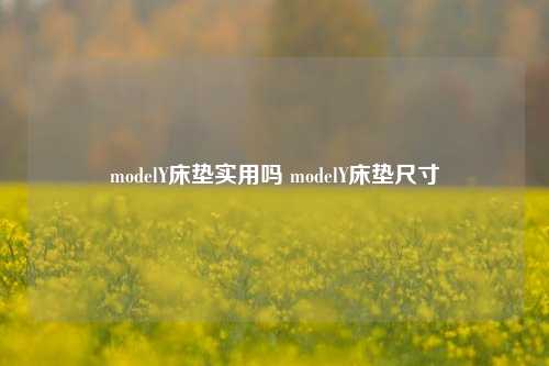 modelY床垫实用吗 modelY床垫尺寸