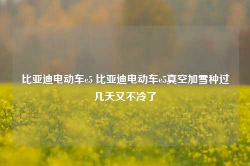 比亚迪电动车e5 比亚迪电动车e5真空加雪种过几天又不冷了