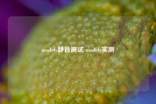 modely静音测试 modely实测