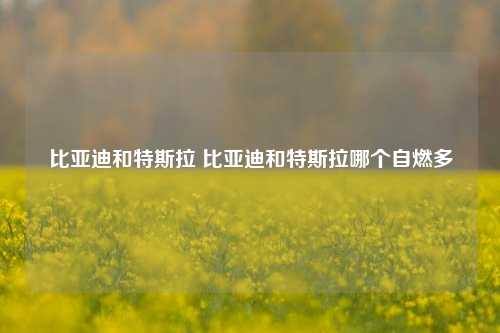 比亚迪和特斯拉 比亚迪和特斯拉哪个自燃多