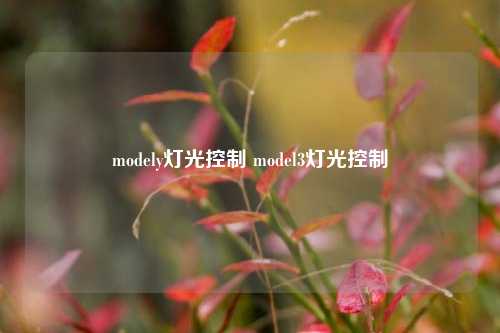 modely灯光控制 model3灯光控制