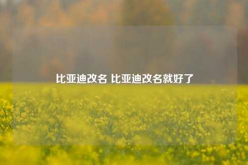 比亚迪改名 比亚迪改名就好了