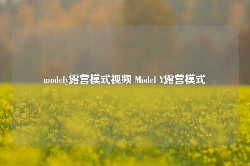 modely露营模式视频 Model Y露营模式