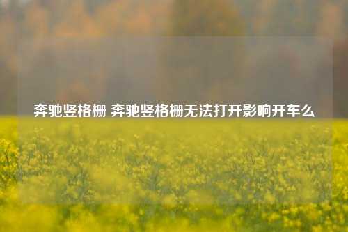 奔驰竖格栅 奔驰竖格栅无法打开影响开车么