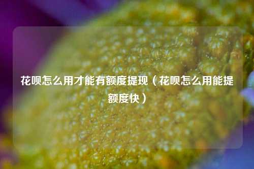 花呗怎么用才能有额度提现（花呗怎么用能提额度快）