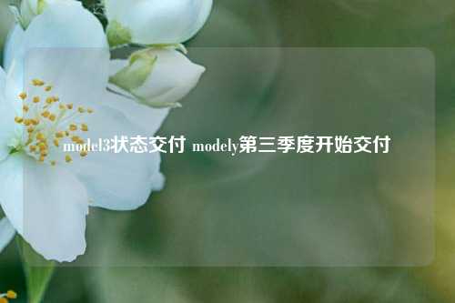 model3状态交付 modely第三季度开始交付