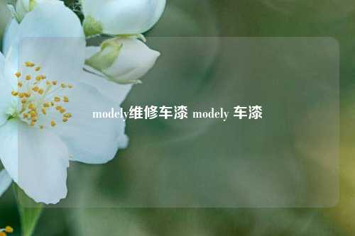 modely维修车漆 modely 车漆