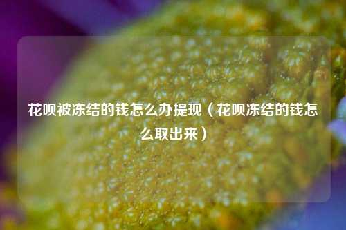 花呗被冻结的钱怎么办提现（花呗冻结的钱怎么取出来）