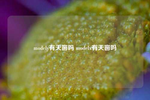 modely有天窗吗 modelx有天窗吗