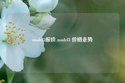 model3报价 model3 价格走势