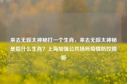 来去无踪太神秘打一个生肖，来去无踪太神秘是指什么生肖？上海加强公共场所疫情防控措施