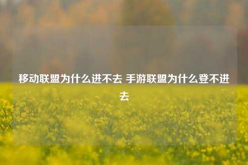 移动联盟为什么进不去 手游联盟为什么登不进去