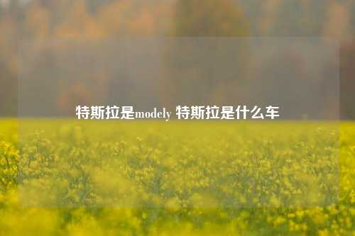 特斯拉是modely 特斯拉是什么车