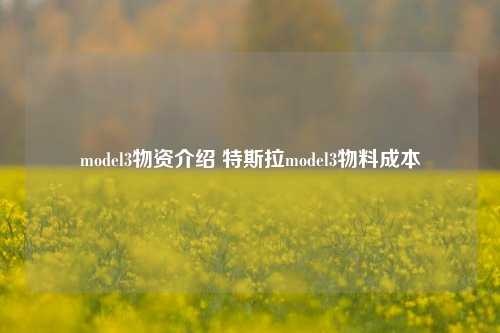 model3物资介绍 特斯拉model3物料成本