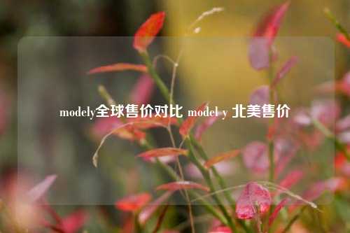 modely全球售价对比 model y 北美售价